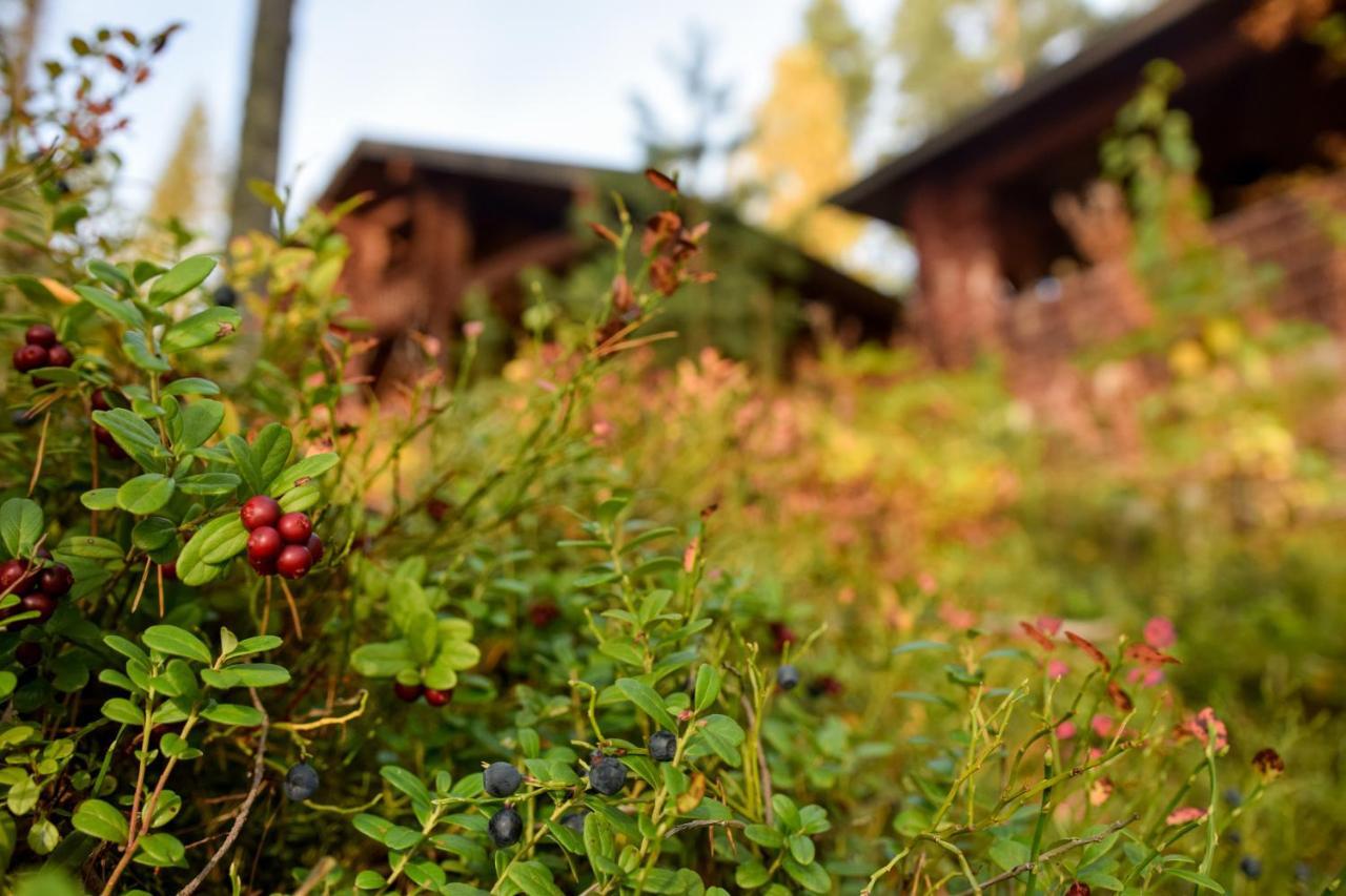 Lomalehto Cottages Ahvionniemi Exteriér fotografie